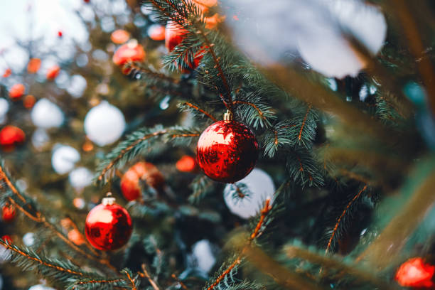 istockphoto-1432499755-612x612